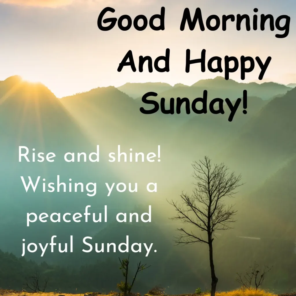 Sunday Morning Nature Images Best 786 Good Morning Sunday Images For