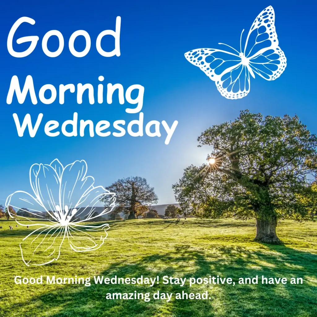 Good Morning Wednesday Status Wishes And Image WishByGift