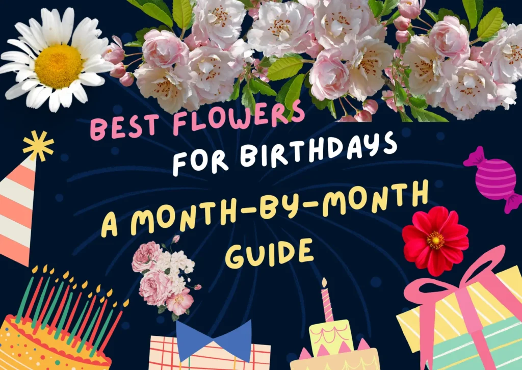 Best Flowers for Birthdays A Month-by-Month Guide