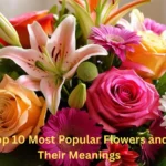 Top 10 Most Popular Flowers
