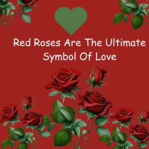 Why Red Roses Are The Ultimate Symbol Of Love