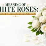 Meaning of White Roses