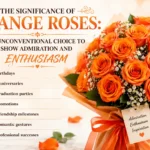 Significance of Orange Roses
