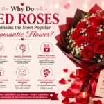 Why Do Red Roses Remains the Most Popular Romantic Flower?