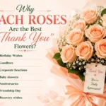 Why Peach Roses Are the Best Thank You Flowers?