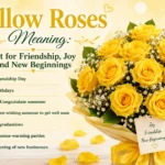 Yellow Roses Meaning